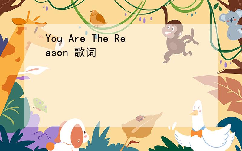 You Are The Reason 歌词