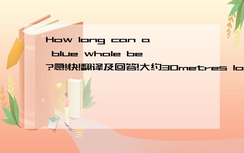 How long can a blue whale be?急!快!翻译及回答!大约30metres long
