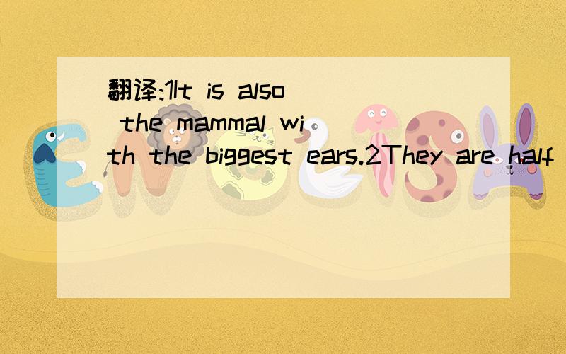 翻译:1It is also the mammal with the biggest ears.2They are half a meter long.