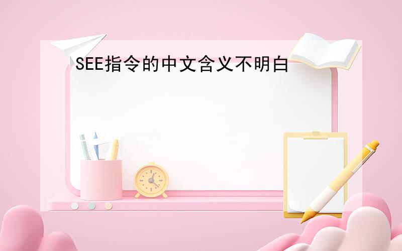 SEE指令的中文含义不明白