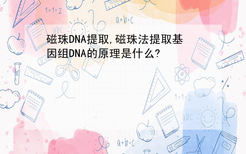 磁珠DNA提取,磁珠法提取基因组DNA的原理是什么?