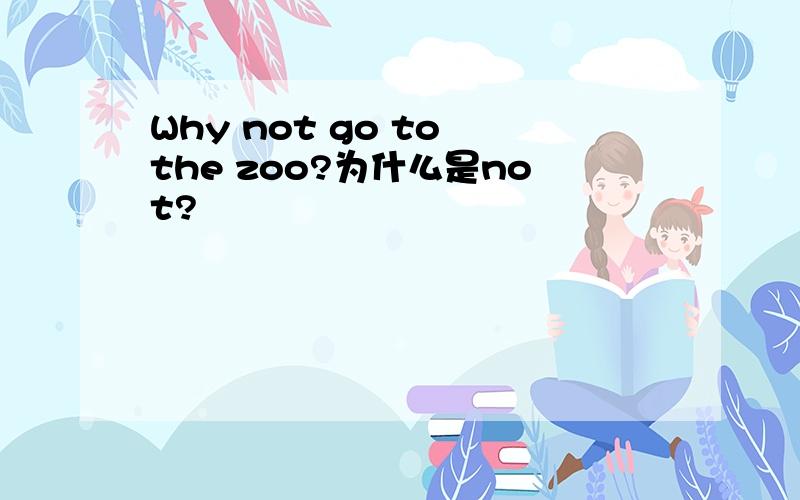Why not go to the zoo?为什么是not?