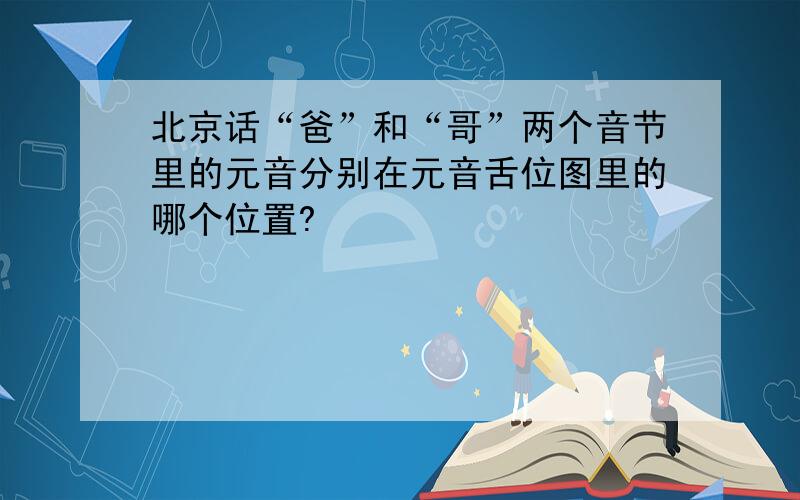 北京话“爸”和“哥”两个音节里的元音分别在元音舌位图里的哪个位置?