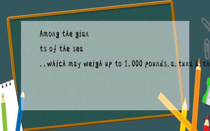 Among the giants of the sea .,which may weigh up to 1,000 pounds.a.tuna b.the tuna c.being the tuna d.is the tuna