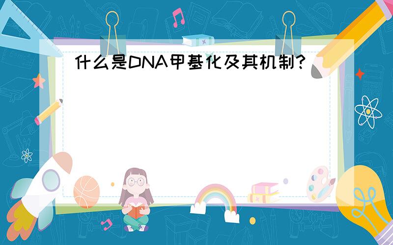什么是DNA甲基化及其机制?