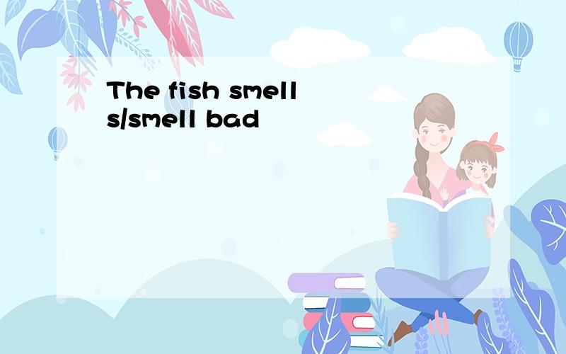The fish smells/smell bad